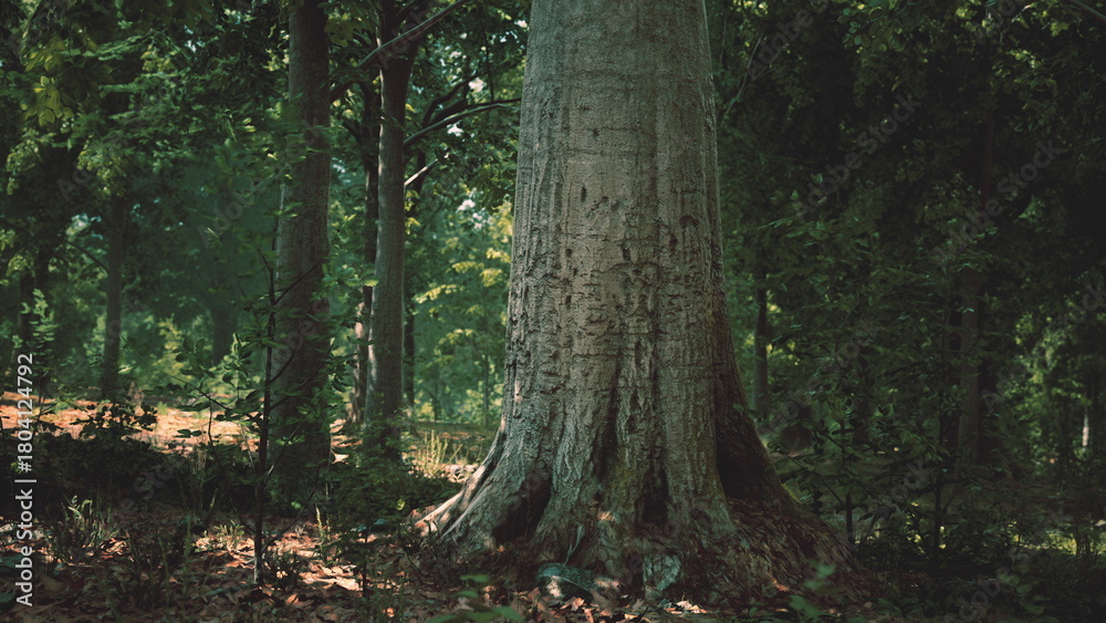 Obraz premium A grand tree stands tall in a serene forest, surrounded by lush greenery. Sunlight streams through the canopy, creating beautiful patterns on the ground. Nature thrives in this peaceful setting.