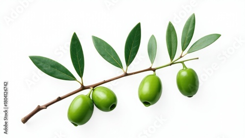 Wallpaper Mural Fresh green olives hanging from a branch with lush leaves on a bright white background, great for food, nature, or decoration concepts Torontodigital.ca
