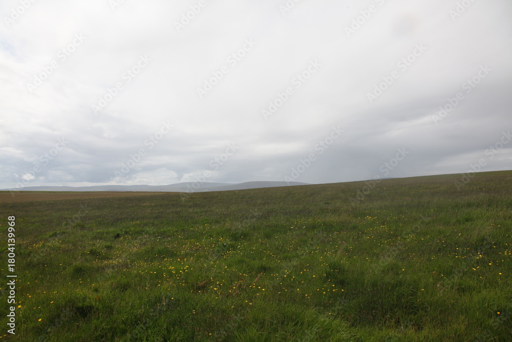 Obraz premium Grassy fields of Scotland with rolling green hills, open meadows, and gentle highland contours creating a peaceful and expansive rural landscape