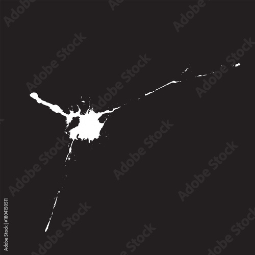 Grunge birds droppings black and white. Flat blots style vector illustration. Map. Abstract paint drop.