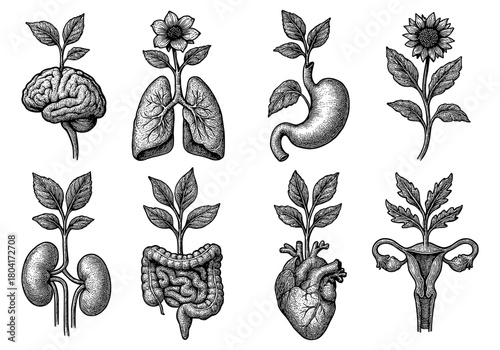 Intricate fusion of human organs and floral elements in vintage style