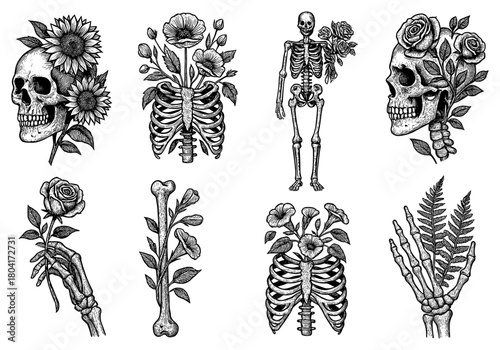 Skull and skeleton floral designs: artistic fusion of nature and anatomy in black and white