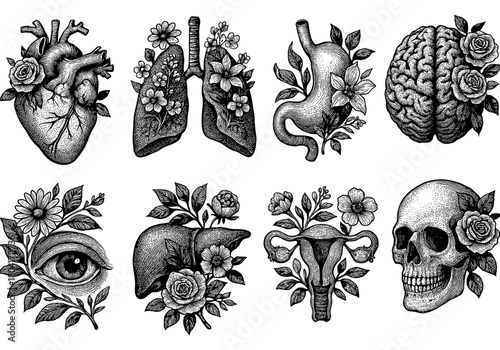 Intricate botanical anatomy art featuring organs with floral elements