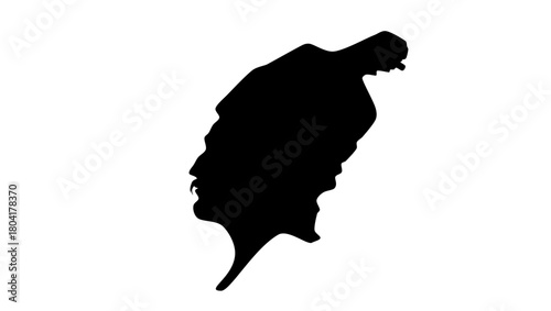 Casimir Pulaski, black isolated silhouette