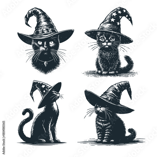 Four pussy with warlock cap. Black White illustration.