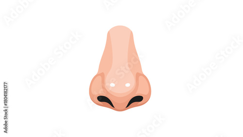A minimalist illustration of a human nose against a white background
