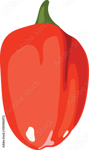 Red ripe fruit of ornamental pepper (Capsicum annuum) plant isolated on white background	