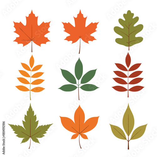 A collection of nine beautifully illustrated autumn leaves in vibrant seasonal colors.