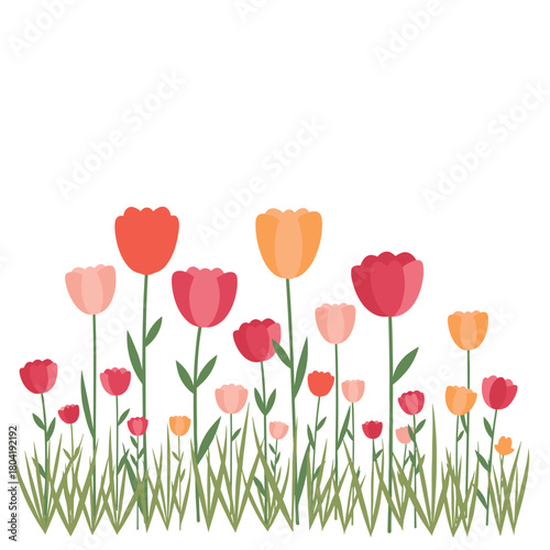 A vibrant field of tulips in various colors blooming joyfully in the spring.