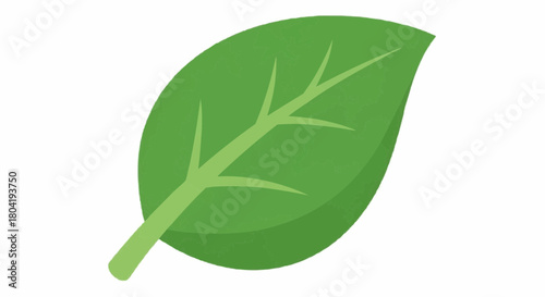 Fresh green leaf illustration, a simple and natural design element isolated on