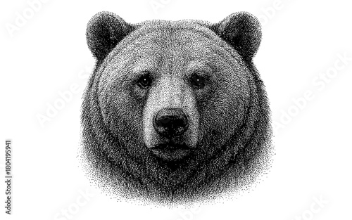 Detailed grizzly bear head stipple design in black and white for nature art