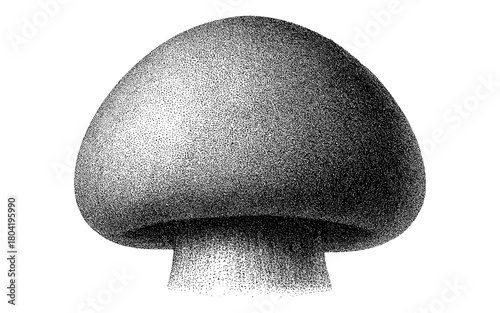 Halftone mushroom art: detailed vintage toadstool design for culinary and nature themes
