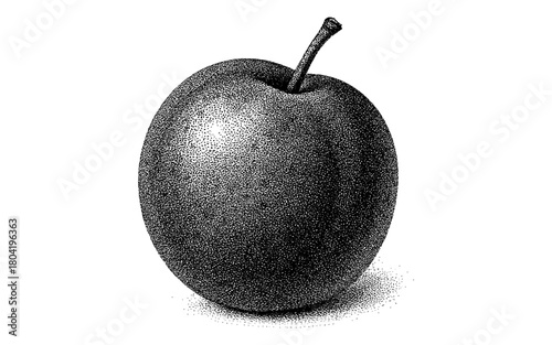 Intricate dotwork apple illustration with realistic shading