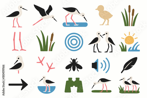 Stilt Birdwatching and Nature Icon Set with Birds, Nest, and Binoculars