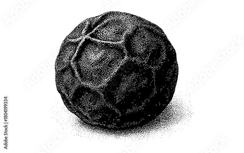 Detailed black peppercorn in stipple art style for culinary design inspiration