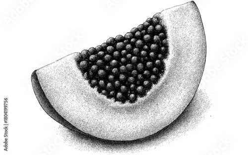 Detailed black and white half papaya with seeds in stipple technique