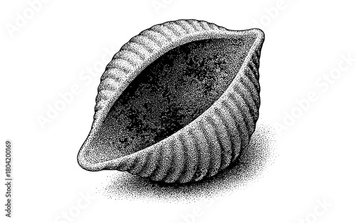 Intricate engraved shell with vintage dotwork texture