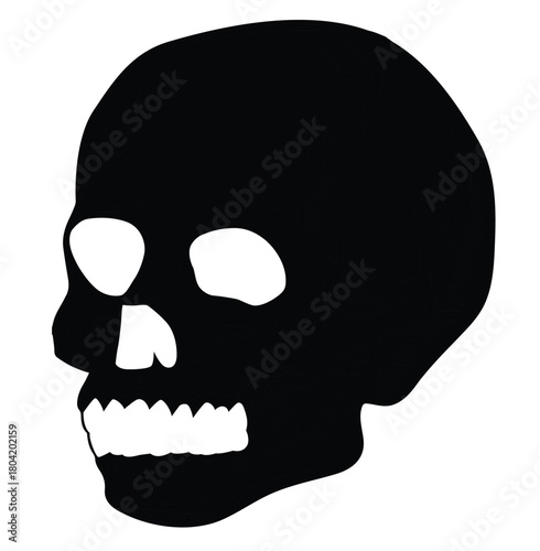Science of hand drawn vector human skull silhouette. 