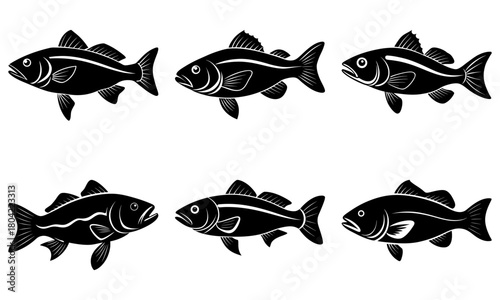 Illustration of six stylized fish in black and white with varying fin and body line details shown