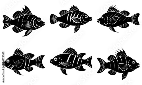 Illustration of six black and white striped fish with various fin and tail designs swimming in formation