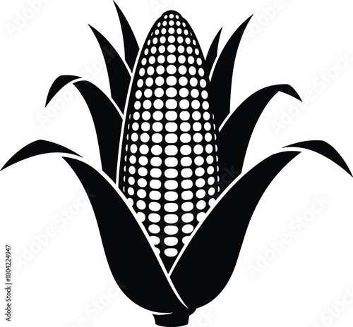 Hand-Drawn Corn and Maize Illustration Rustic Farm Harvest Cob Design in Simple Black and White Style