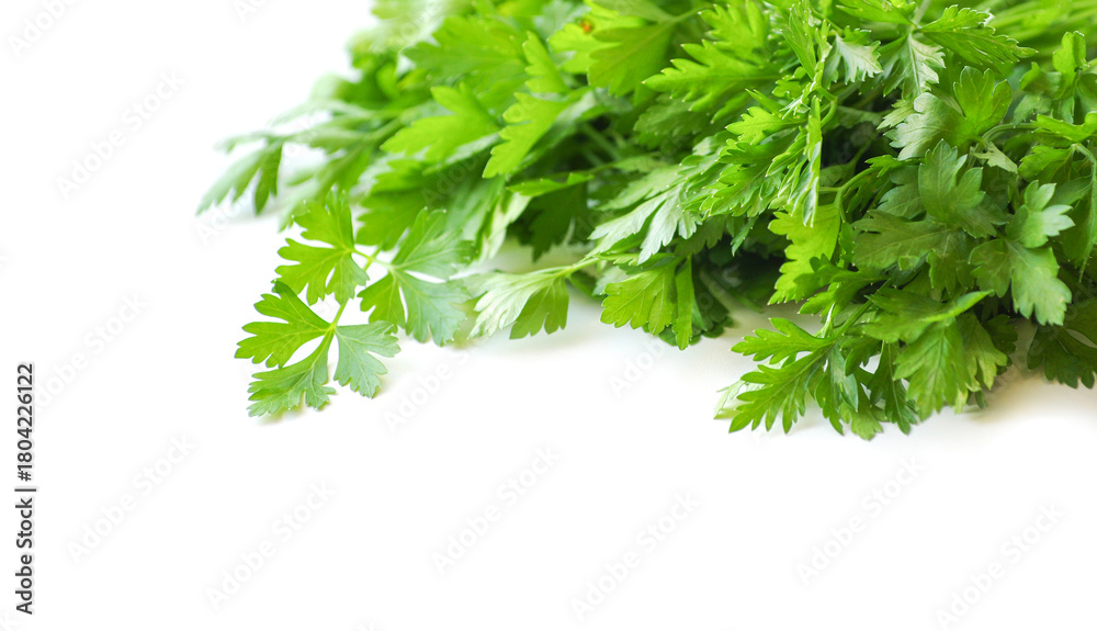 Fototapeta premium Parsley isolated on white background