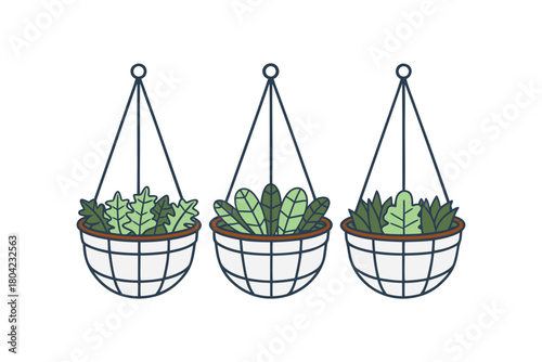 Three hanging planters with lush green plants, simple flat design illustration