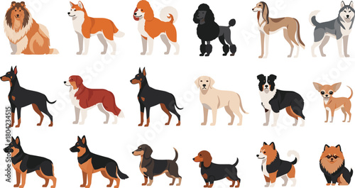 Big set of various dog breeds, flat vector illustration collection of different cartoon pet characters, canine types isolated on white background.