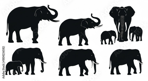 Black Silhouette Vector of Elephants in Different Poses and Sizes, Standing, Walking, and Feeding, Baby and Adult Forms, Clean Minimal Outlines, Isolated on White Background, Wildlife Vector