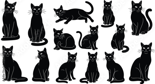 Black cat silhouette set, feline pose vector, sitting and standing cats, minimal pet design, animal icon collection, spooky style