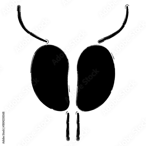 prostatitis icon, brush strokes, vector illustration on white background.