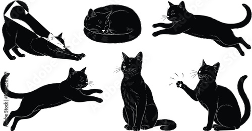 Black cat silhouettes, feline poses, jumping cat, sitting cat, stretching cat, sleeping cat, vector illustration, animal clipart, pet design, cat art