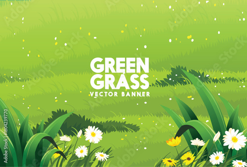 spring background with flowers