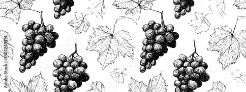 black and white seamless pattern with grapes and leafs vine brunch 