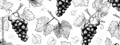 black and white seamless pattern with grapes and leafs vine brunch 