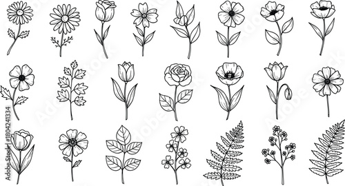 Botanical flower grid, floral illustration set, black white sketch, diverse plant forms, nature study, garden art, botanical design collection