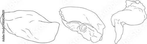 Line vector illustrations of various raw meat cuts, with detailed textures in realistic style