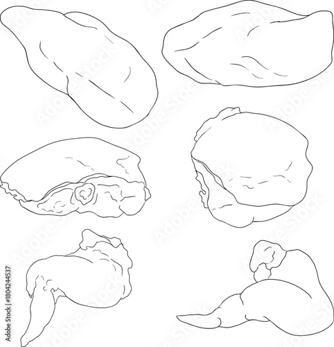 Line vector illustrations of various raw meat cuts, with detailed textures in realistic style