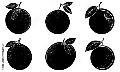 Six black and white drawings of passion fruits with leaves on stems in various orientations