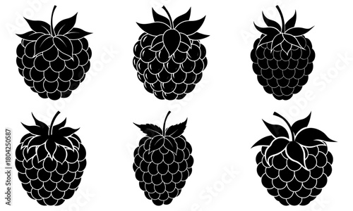 Six black and white stylized blackberries with leaves in a symmetrical arrangement on a white background