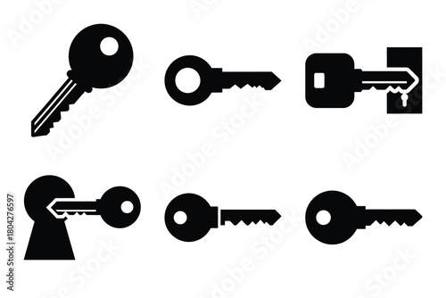 key access Simple silhouette icon graphic