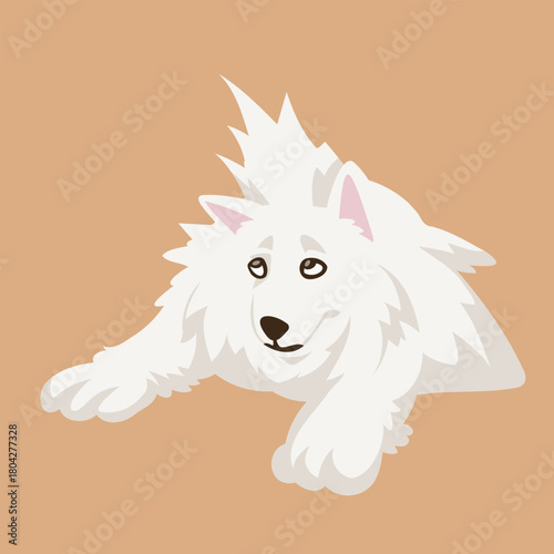 Wondering Lying Samoyed Dog illustration