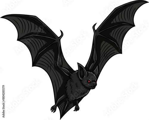 Create a Black bat flying isolated PNG nocturnal animal for Halloween and horror themes, spooky creature vector art with white background..