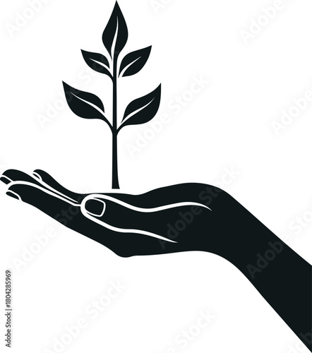 Nurturing New Beginnings: A symbol of growth and preservation, this image showcases a hand tenderly holding a young sprout, representing care and the potential for a sustainable future.