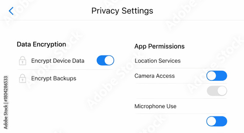 Managing digital security and personal data protection through an intuitive settings interface with encryption and permission toggles