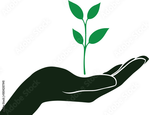 Hand Nurturing a Green Plant: A symbol of growth, sustainability, and environmental care, a hand delicately cradles a vibrant green plant.
