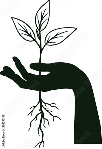 Hand Nurturing New Life: A silhouette of a caring hand cradling a delicate seedling with its roots, representing growth, care, and the nurturing of new life.