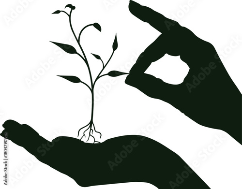 Nurturing Growth: A Symbolic Silhouette Depicting Hands Carefully Protecting and Guiding a Budding Plant.