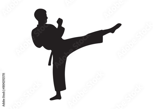 karate logo silhouette vector, karate fighter silhouette vector illustration, karate fight martial silhouette logo, karate fight martial arts logo silhouettes vector on white background