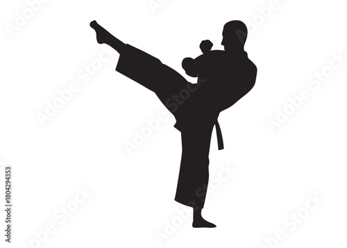 karate logo silhouette vector, karate fighter silhouette vector illustration, karate fight martial silhouette logo, karate fight martial arts logo silhouettes vector on white background